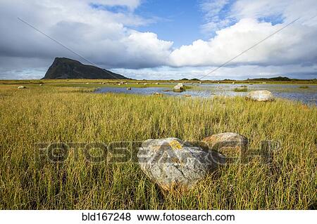 Stock Photo - Rock formations in grassy coastline under blue sky. Fotosearch
