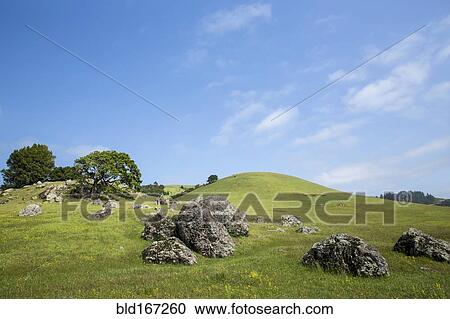 Stock Image - Rock formations in rolling rural field. Fotosearch