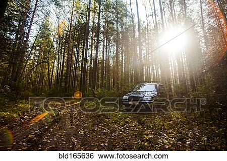 Stock Photograph - Sports utility vehicle in remote forest. Fotosearch