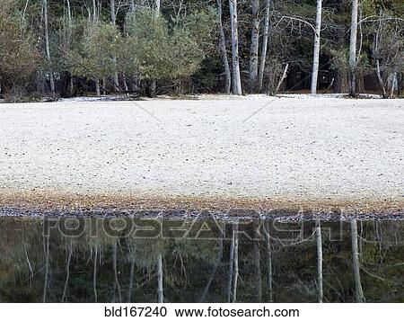 Trees and sandy beach reflecting in still river View Large Photo Image Stock Image - Trees and sandy beach reflecting in still river. Fotosearch