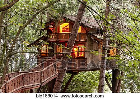 Picture - Wooden walkway to illuminated tree house. Fotosearch