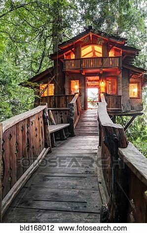 Wooden walkway to illuminated tree house View Large Photo Image Stock Image - Wooden walkway to illuminated tree house. Fotosearch