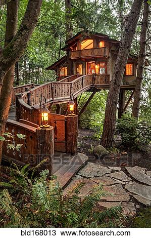 Stock Image - Wooden walkway to illuminated tree house. Fotosearch