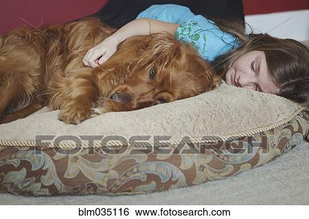 Caucasian girl cuddling dog on cushion View Large Photo Image Stock Photograph - Caucasian girl cuddling dog on cushion. Fotosearch