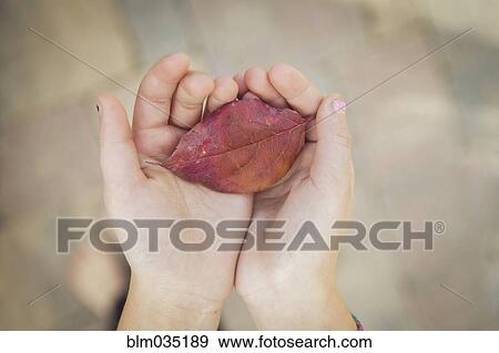 Stock Photo - Caucasian girl holding autumn leaf. Fotosearch