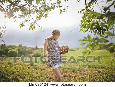 Picture - Caucasian girl picking fruit in orchard. Fotosearch