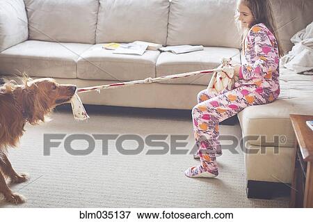 Caucasian girl playing with dog in living room View Large Photo Image Stock Photo - Caucasian girl playing with dog in living room. Fotosearch