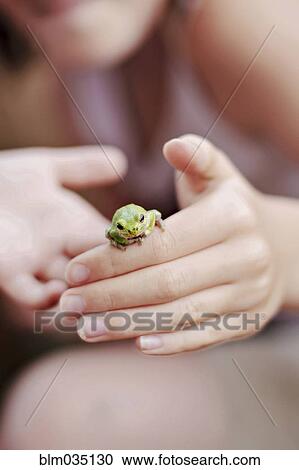 Caucasian girl playing with frog View Large Photo Image Stock Image - Caucasian girl playing with frog. Fotosearch
