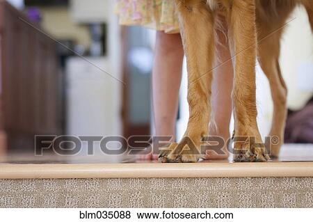 Stock Photo - Caucasian girl standing with puppy at edge of step. Fotosearch