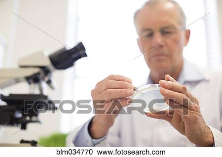 Stock Image - Caucasian scientist examining sample in laboratory. Fotosearch