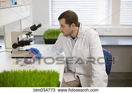 Caucasian scientist examining sample in laboratory View Large Photo Image Stock Image - Caucasian scientist examining sample in laboratory. Fotosearch