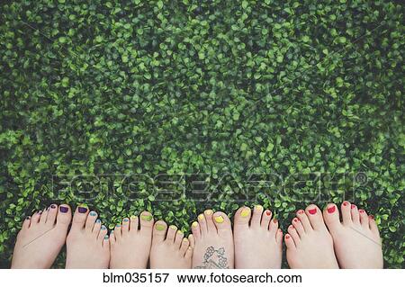 Close up of painted toenails or girls in grass View Large Photo Image Stock Photo - Close up of painted toenails or girls in grass. Fotosearch