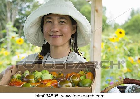 Stock Photography - Japanese farmer harvesting produce on farm. Fotosearch