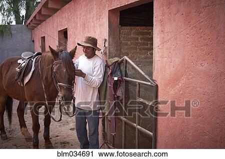 Stock Image - Man tying horse to stable on ranch. Fotosearch