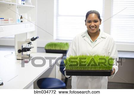 Stock Image - Mixed race scientist holding plants in laboratory. Fotosearch