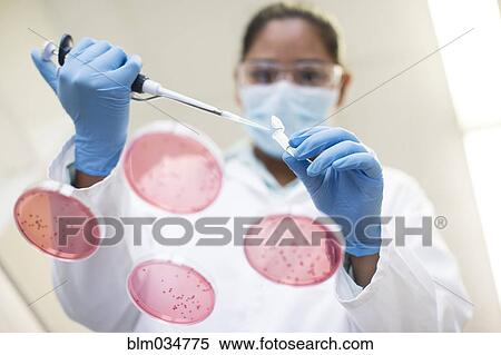 Stock Photography - Mixed race scientist pipetting sample into test tube in laboratory. Fotosearch