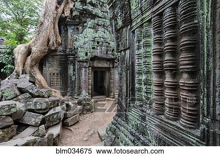 Stock Photography - Ruins at Ta Prohm Temple, Siem Reap, Siem Reap, Cambodia. Fotosearch