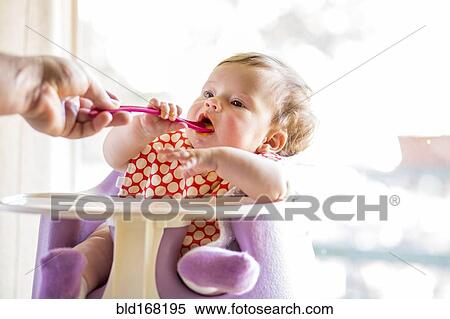 Stock Photography - Caucasian baby girl eating from spoon in high chair. Fotosearch