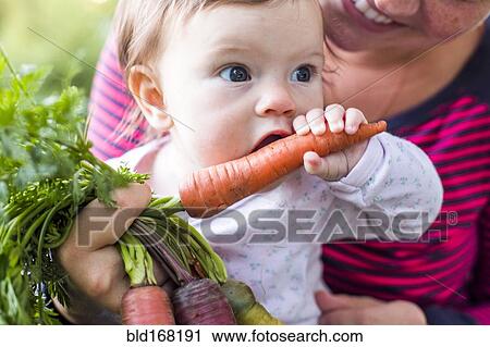Stock Image - Caucasian baby girl playing with fresh carrot. Fotosearch