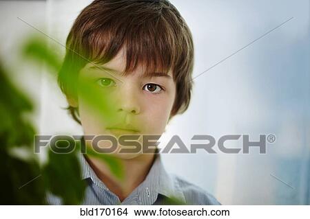 Picture - Caucasian boy standing behind plants indoors. Fotosearch