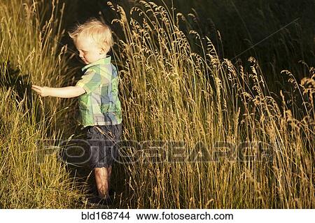 Picture - Caucasian boy standing in tall grass. Fotosearch