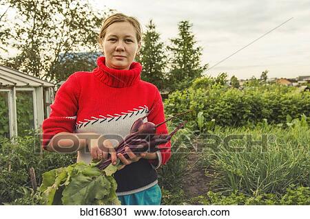 Caucasian farmer holding fresh beets in garden View Large Photo Image Stock Image - Caucasian farmer holding fresh beets in garden. Fotosearch