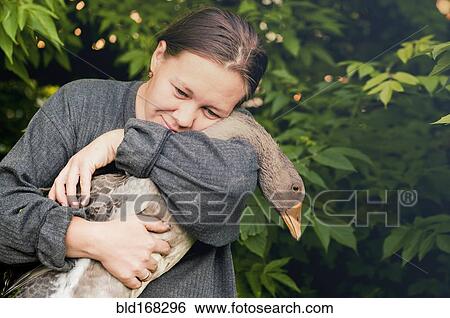 Caucasian farmer hugging goose in garden View Large Photo Image Stock Photograph - Caucasian farmer hugging goose in garden. Fotosearch