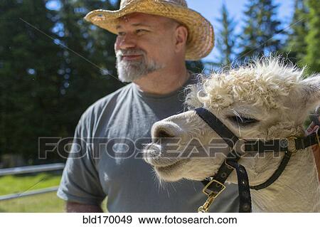 Stock Photo - Caucasian farmer standing with alpaca on farm. Fotosearch
