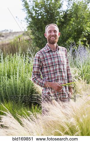 Stock Image - Caucasian man admiring tall plants in garden. Fotosearch