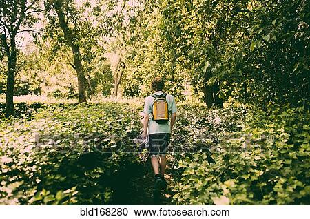Caucasian man hiking in lush park View Large Photo Image Stock Image - Caucasian man hiking in lush park. Fotosearch