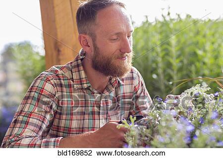 Stock Image - Caucasian man smelling flowers in garden. Fotosearch