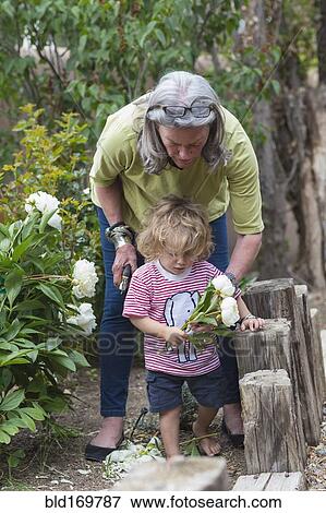 Stock Photo - Caucasian woman and grandson picking flowers in garden. Fotosearch