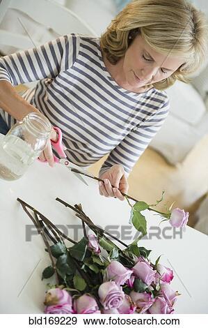 Stock Photo - Caucasian woman trimming flowers. Fotosearch