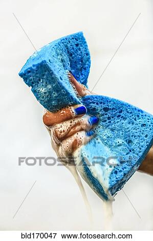 Chinese girl squeezing soapy sponge View Large Photo Image Stock Photo - Chinese girl squeezing soapy sponge. Fotosearch