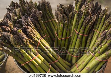 Stock Photo - Close up of bunches of asparagus. Fotosearch