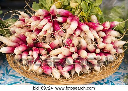 Picture - Close up of bunches of radishes. Fotosearch