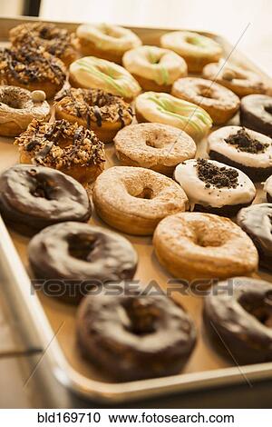 Close up of donuts for sale in bakery View Large Photo Image Stock Image - Close up of donuts for sale in bakery. Fotosearch