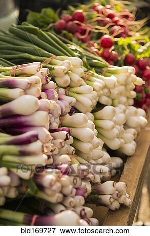 Stock Photo - Close up of fresh produce for sale in market. Fotosearch