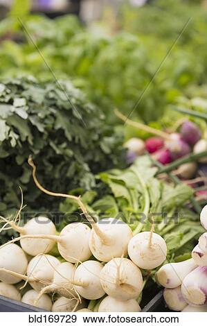 Stock Photo - Close up of fresh produce for sale in market. Fotosearch