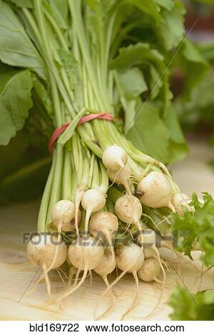 Close up of fresh vegetables View Large Photo Image Stock Image - Close up of fresh vegetables. Fotosearch
