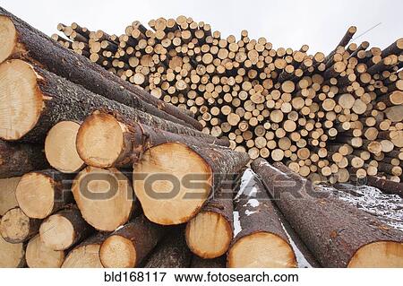 Stock Photo - Close up of wooden log pile. Fotosearch