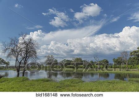 Stock Photo - Clouds over pond in remote landscape. Fotosearch