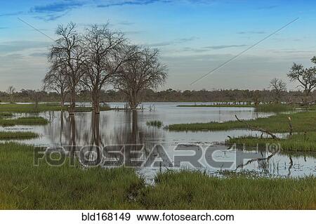 Stock Photo - Clouds over pond in remote landscape. Fotosearch