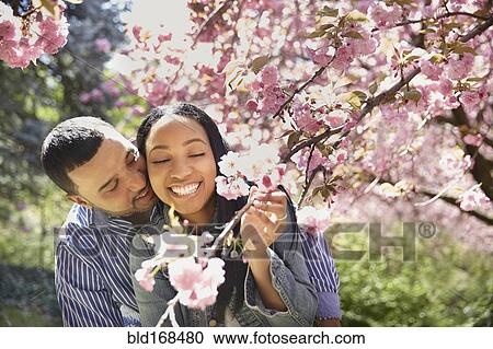 Stock Image - Couple admiring flowering tree in park. Fotosearch