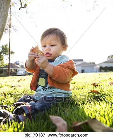 Stock Photo - Hispanic boy playing in leaves in park. Fotosearch