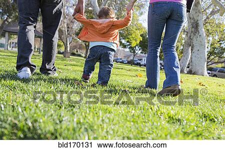Stock Image - Hispanic mother and father helping son walk in park. Fotosearch