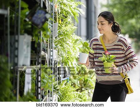 Hispanic woman shopping for plants in nursery View Large Photo Image Stock Image - Hispanic woman shopping for plants in nursery. Fotosearch