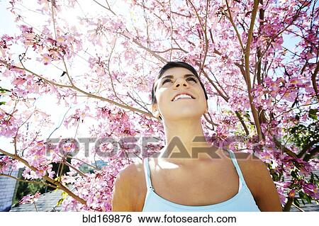 Hispanic woman standing under flowering tree View Large Photo Image Stock Photograph - Hispanic woman standing under flowering tree. Fotosearch