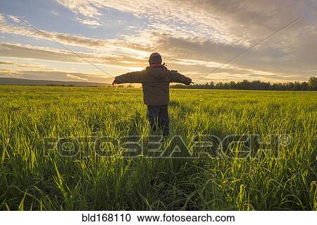 Mari boy admiring sunset in rural field View Large Photo Image Stock Image - Mari boy admiring sunset in rural field. Fotosearch