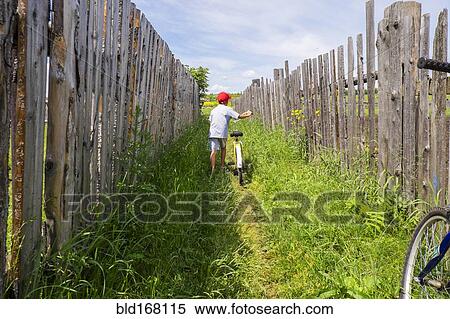 Mari boy pushing bicycle between fences View Large Photo Image Stock Photography - Mari boy pushing bicycle between fences. Fotosearch
